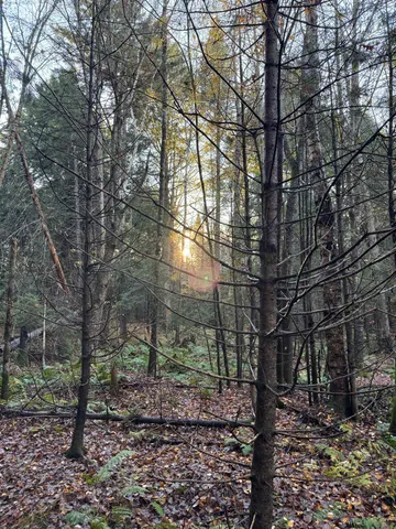 $275,000 | 0 Ledge Hill Road, East Calais, VT 05650