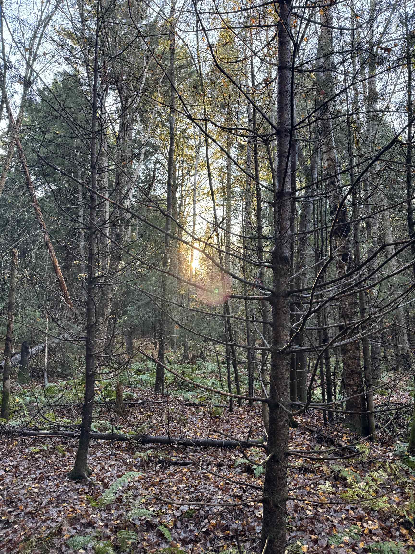 0 Ledge Hill Road East Calais, VT 05650 - Photo 35 of 47