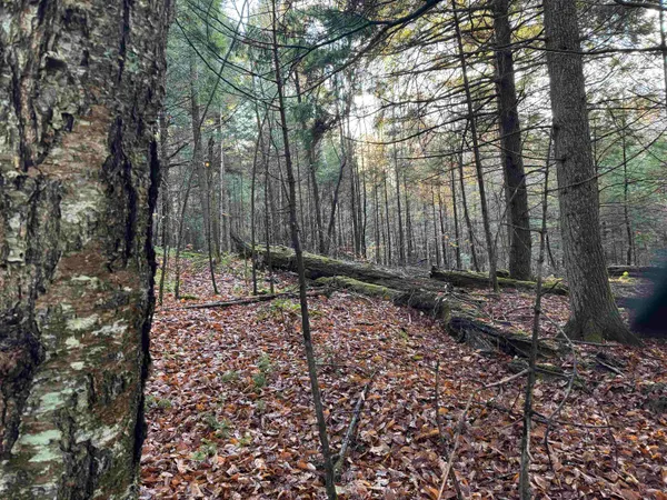 $275,000 | 0 Ledge Hill Road, East Calais, VT 05650