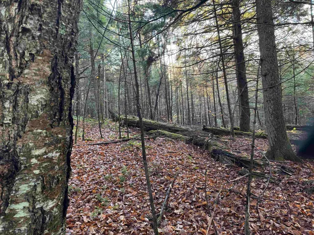 $275,000 | 0 Ledge Hill Road, East Calais, VT 05650