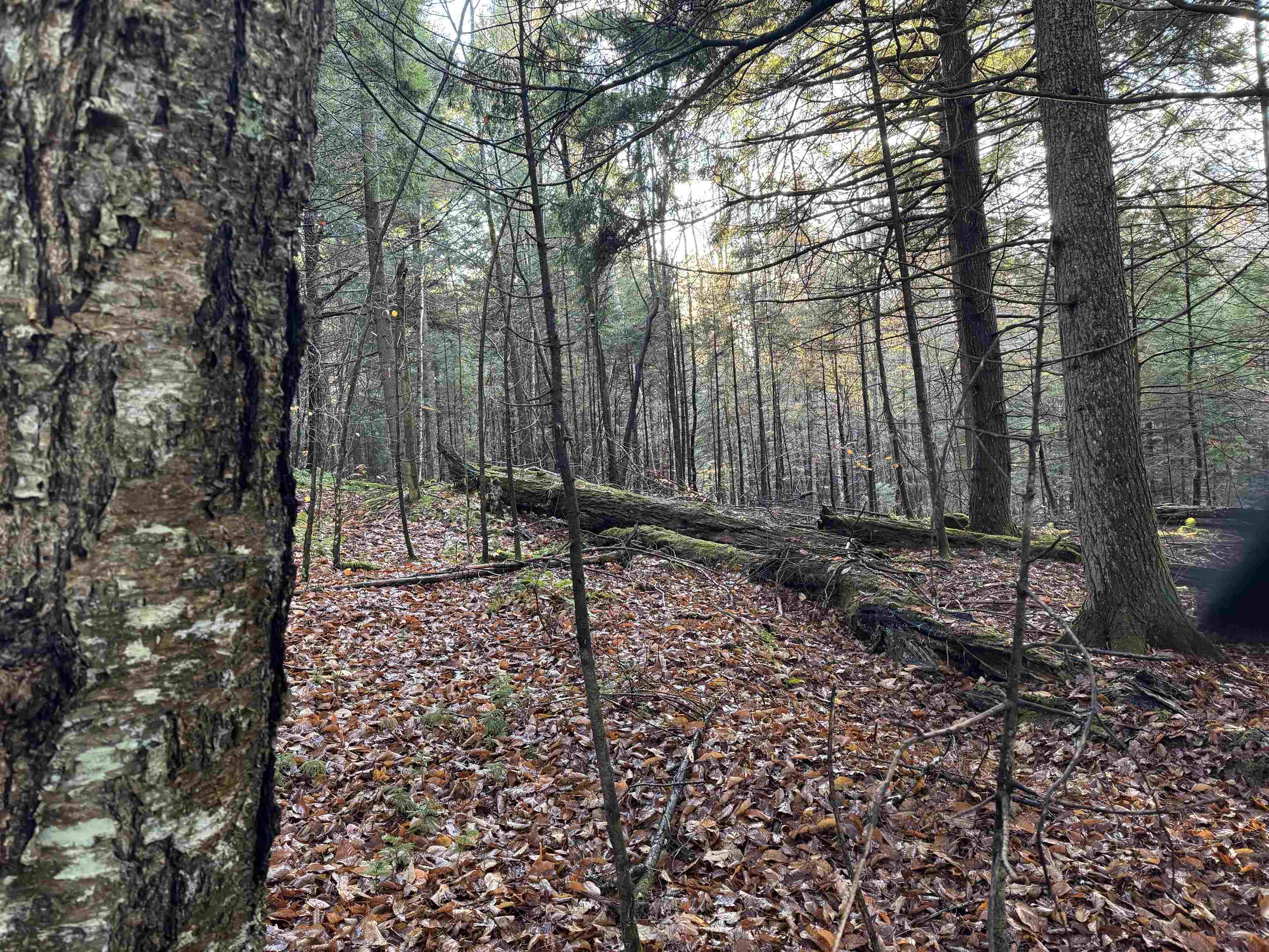 0 Ledge Hill Road East Calais, VT 05650 - Photo 36 of 47