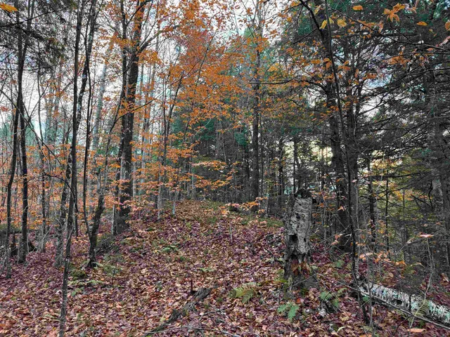 $275,000 | 0 Ledge Hill Road, East Calais, VT 05650