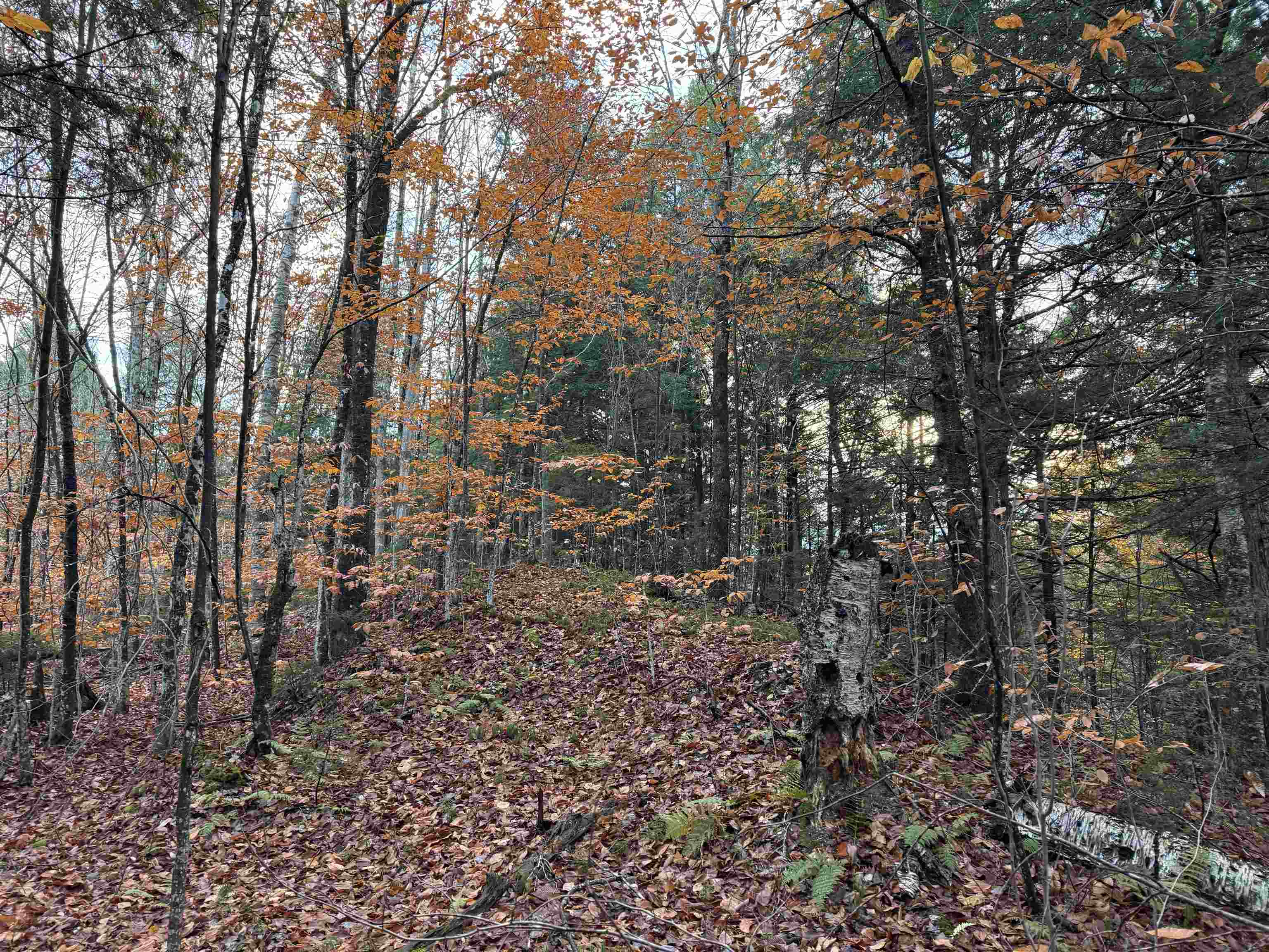 0 Ledge Hill Road East Calais, VT 05650 - Photo 37 of 47