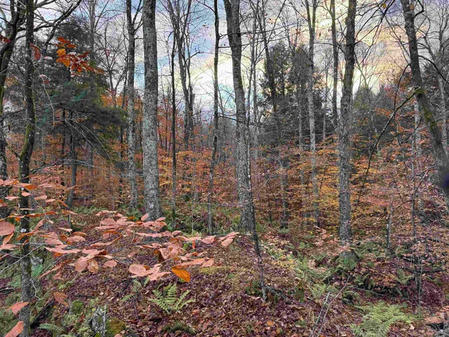 $275,000 | 0 Ledge Hill Road, East Calais, VT 05650