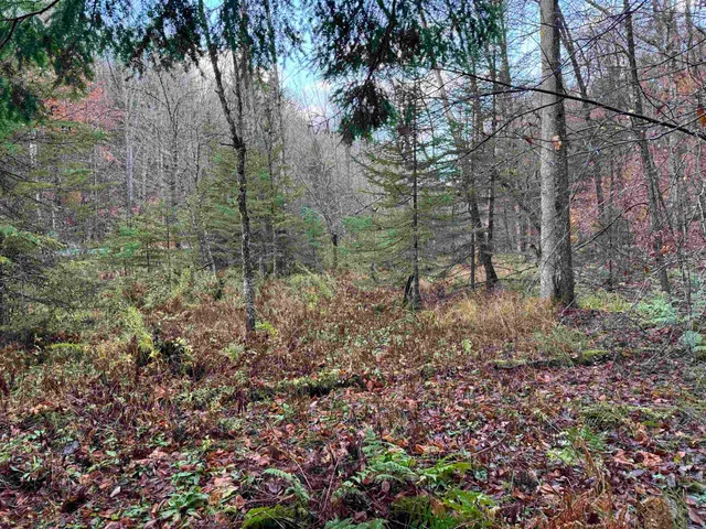 $275,000 | 0 Ledge Hill Road, East Calais, VT 05650