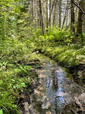 $275,000 | 0 Ledge Hill Road, East Calais, VT 05650