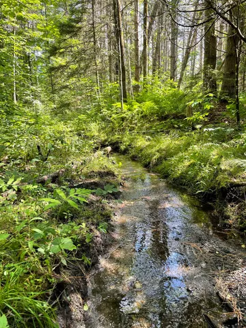 $275,000 | 0 Ledge Hill Road, East Calais, VT 05650