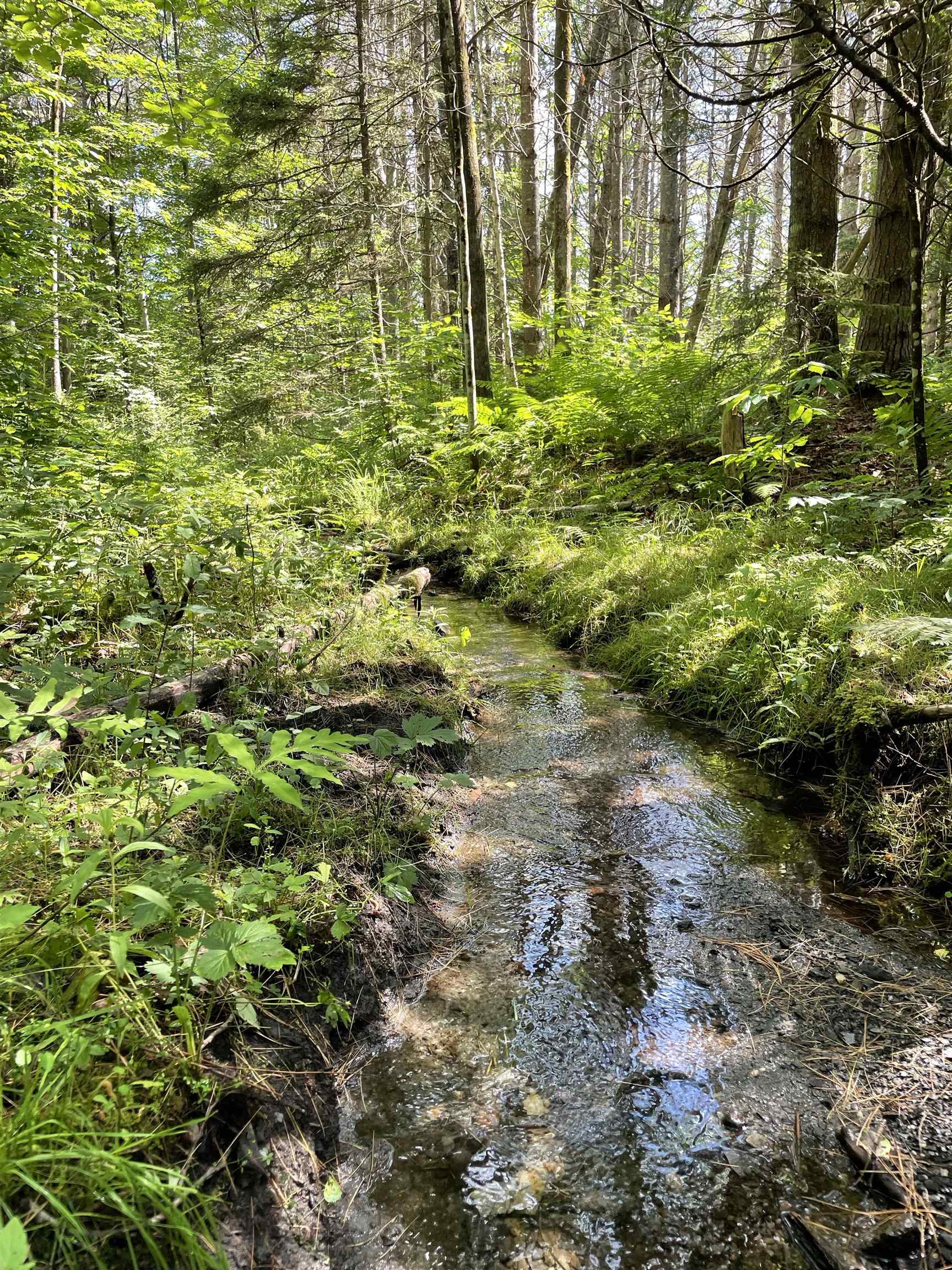 0 Ledge Hill Road East Calais, VT 05650 - Photo 4 of 47