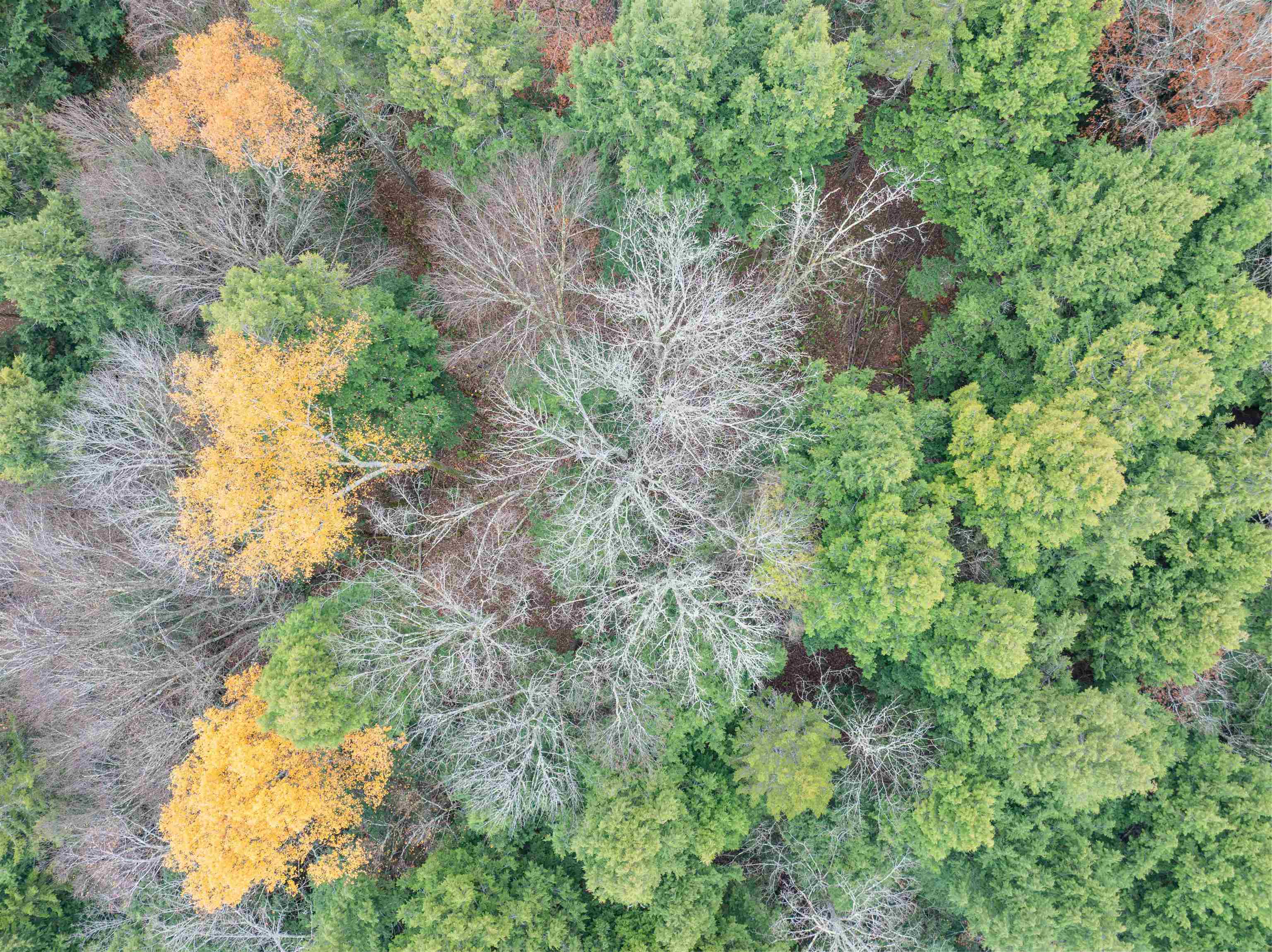 0 Ledge Hill Road East Calais, VT 05650 - Photo 43 of 47