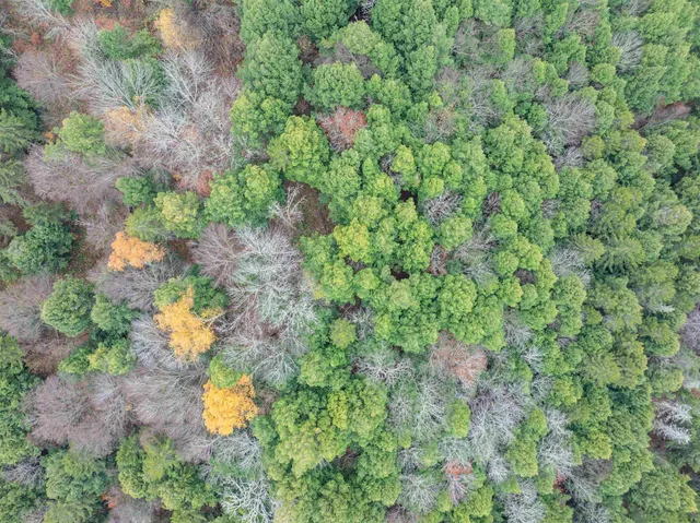 $275,000 | 0 Ledge Hill Road, East Calais, VT 05650