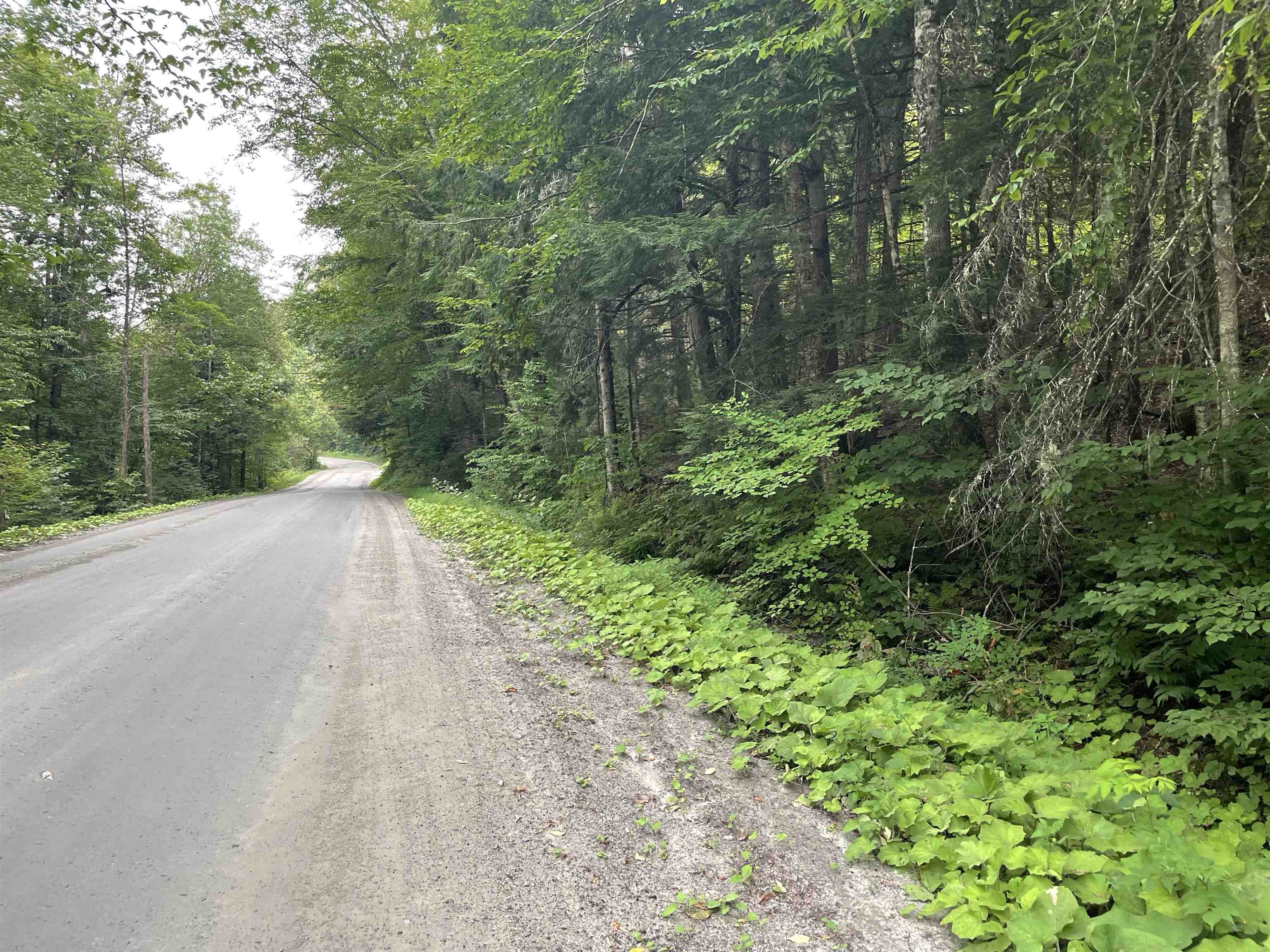 0 Ledge Hill Road East Calais, VT 05650 - Photo 6 of 47