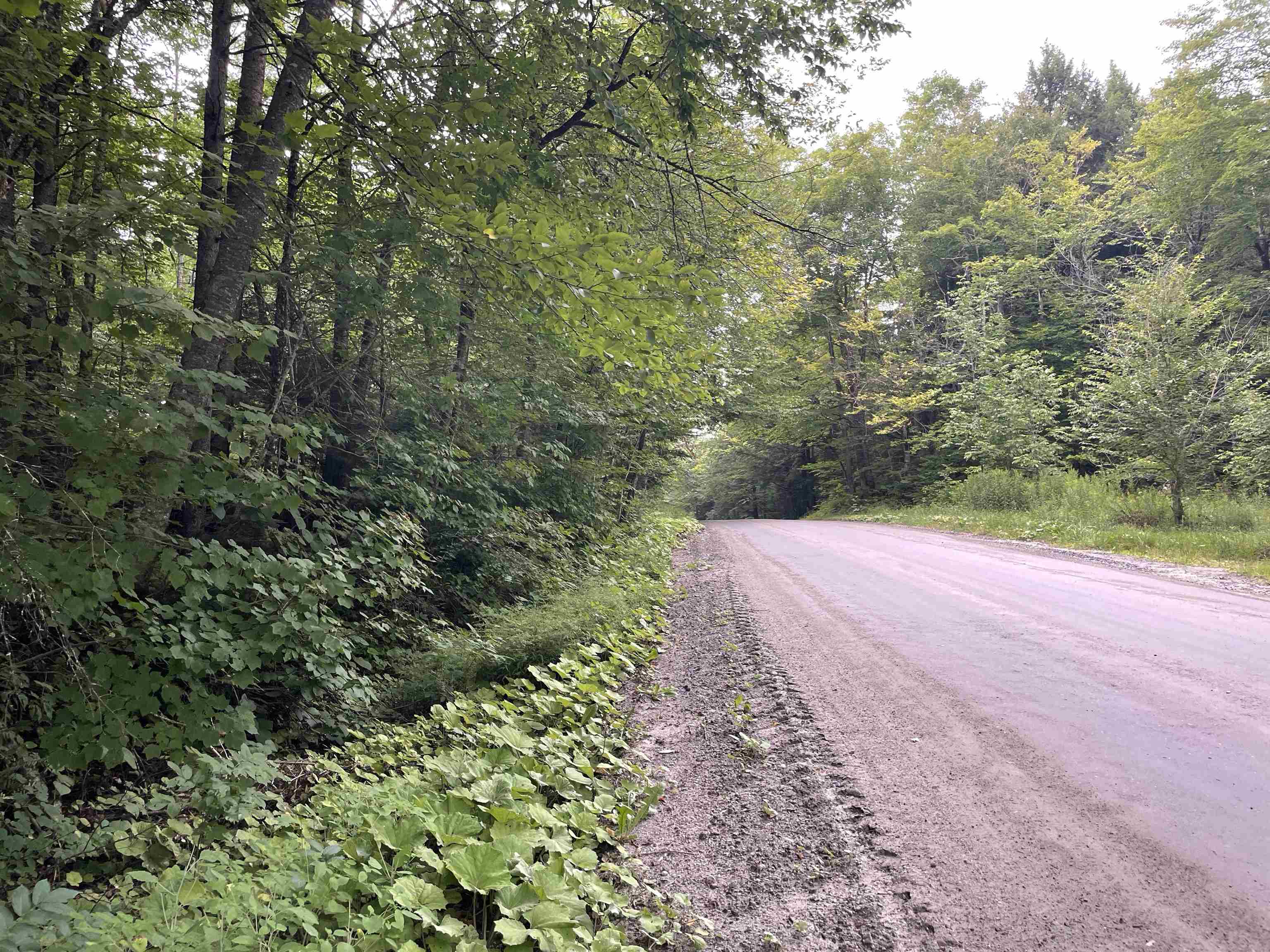 0 Ledge Hill Road East Calais, VT 05650 - Photo 7 of 47