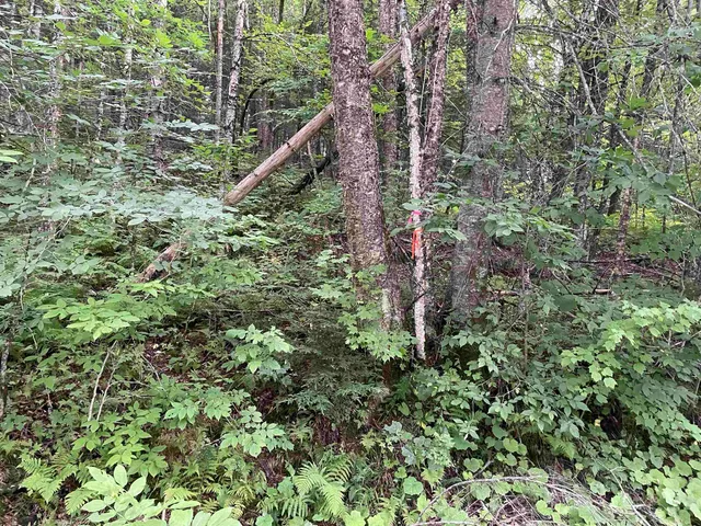 $275,000 | 0 Ledge Hill Road, East Calais, VT 05650