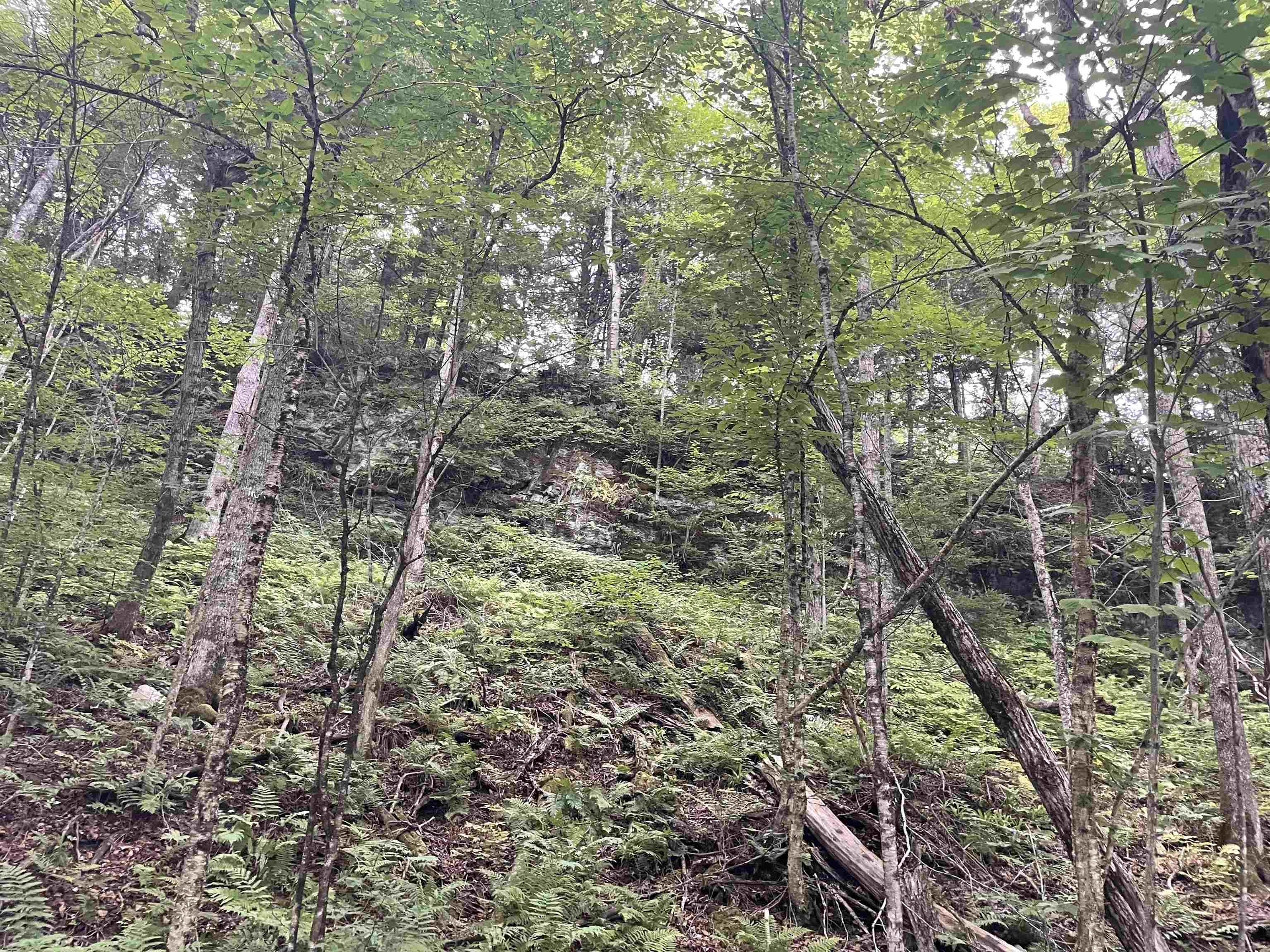 0 Ledge Hill Road East Calais, VT 05650 - Photo 10 of 47