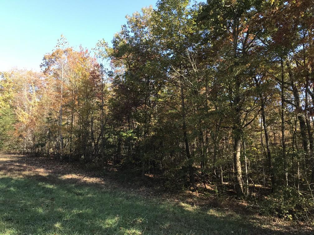 Lot 111 Lou Road Pikeville, TN 37367 - Photo 11 of 13 IMG_0626