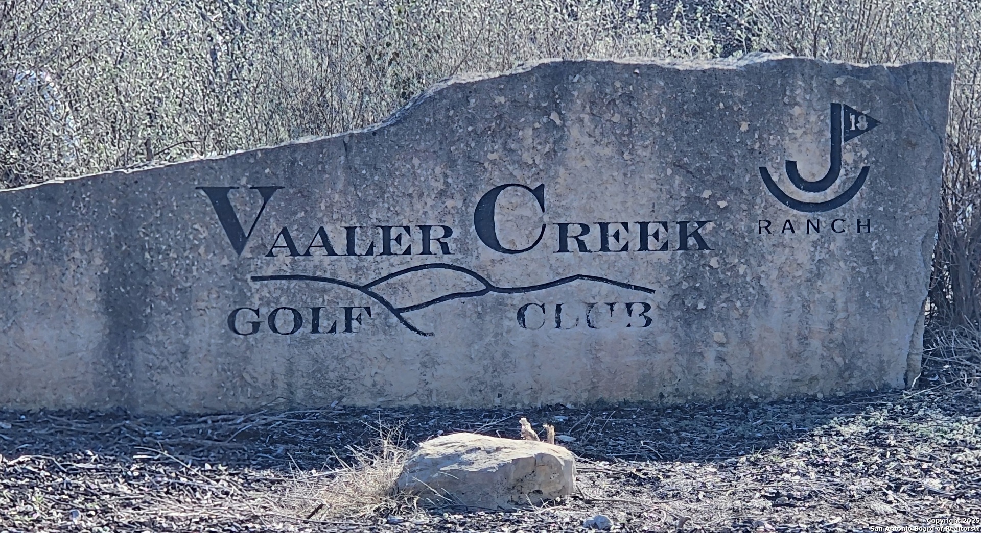 103 South Calvin Barrett Blanco, TX 78606 - Photo 9 of 9