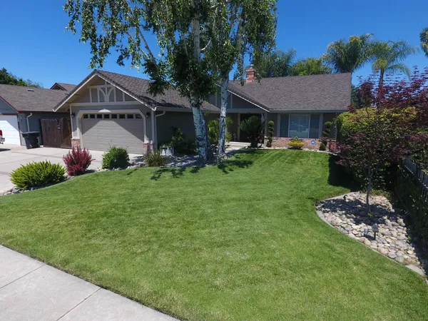 a view of a house with a garden