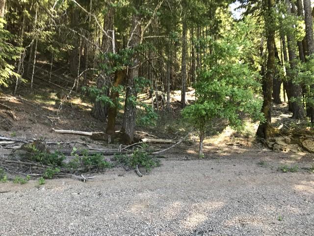 98 Ruth Lake, Unit NONE Mad River, CA 95552 - Photo 2 of 22