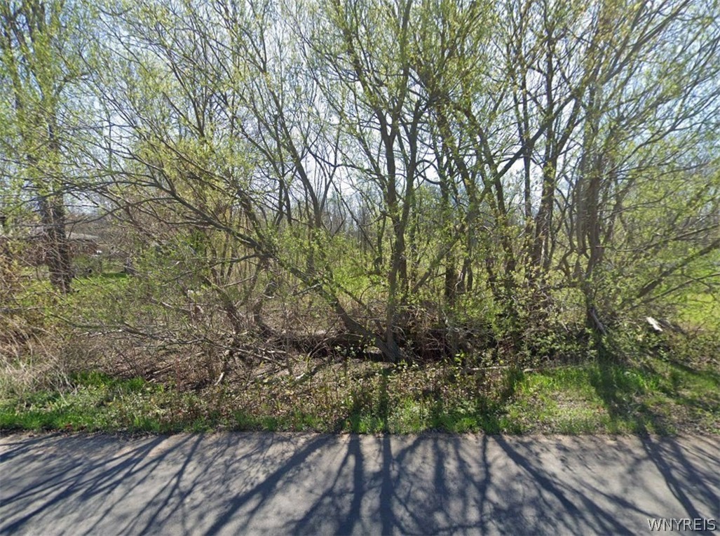 0 Tibbets Point Road Cape Vincent, NY 13618 - Photo 2 of 3