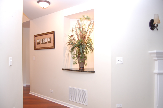 221 Ellis Road Lake In The Hills, IL 60156 - Photo 12 of 28 a view of a hallway with a potted plant on a wall