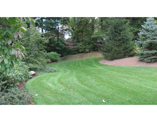 78 Abbott Road Wellesley, MA 02481 - Photo 20 of 23 a open area with trees in the background