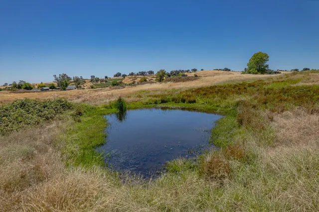 a view of a field with trees in background