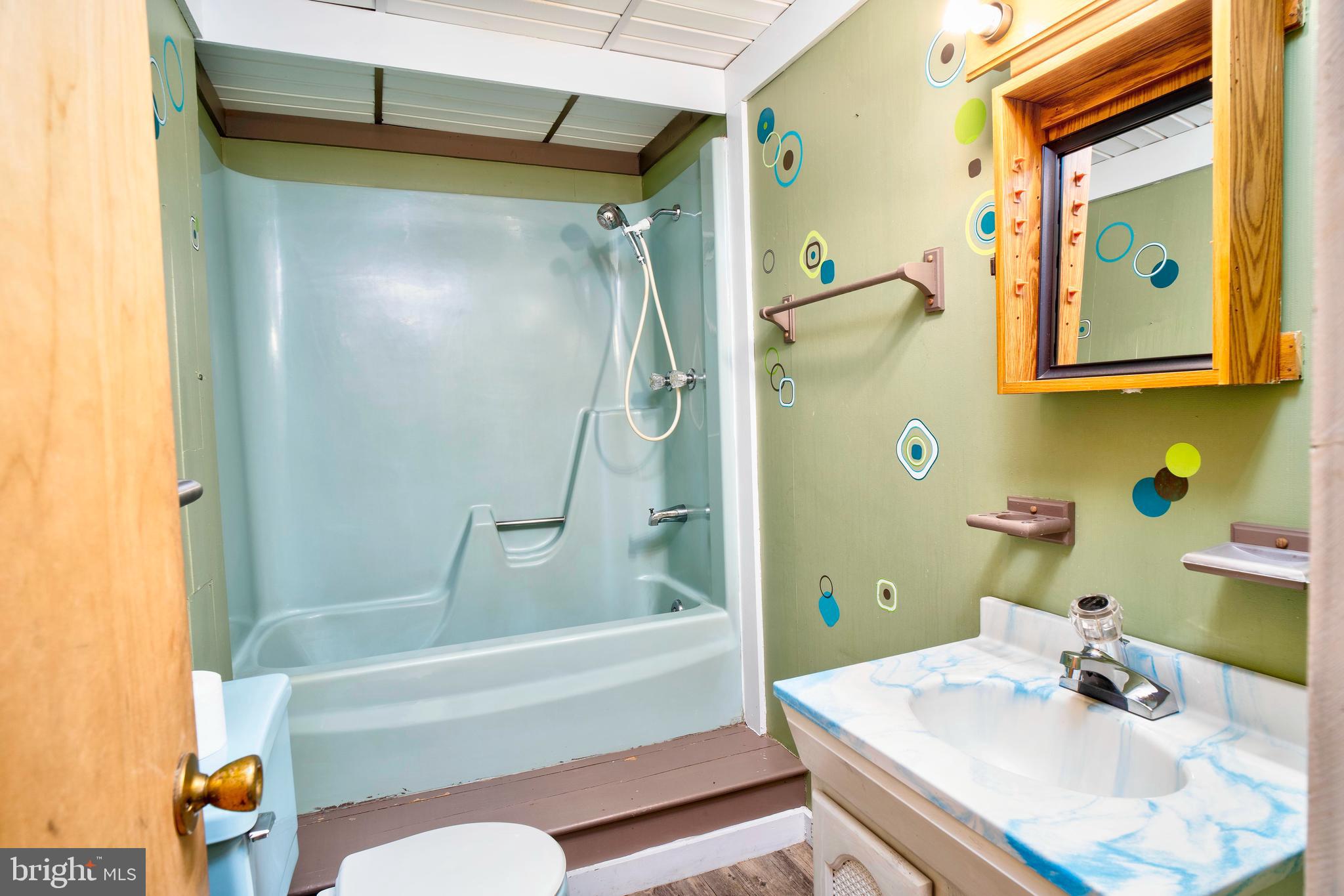 28484 Raccoon Ford Road Burr Hill, VA 22433 - Photo 40 of 48 Lower level bathroom-great adult apartment
