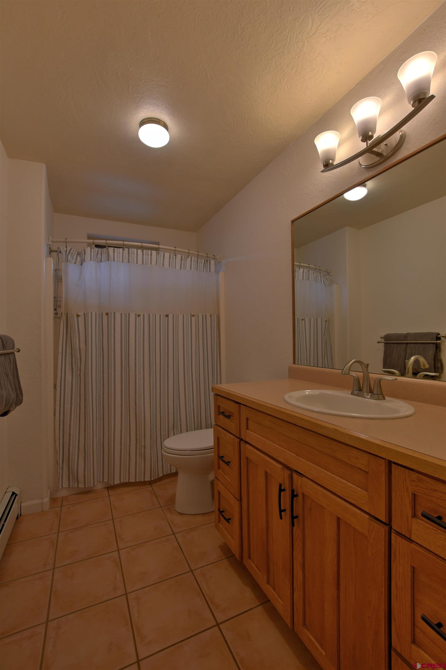 602 Chipeta Drive Ridgway, CO 81432 - Photo 22 of 33
