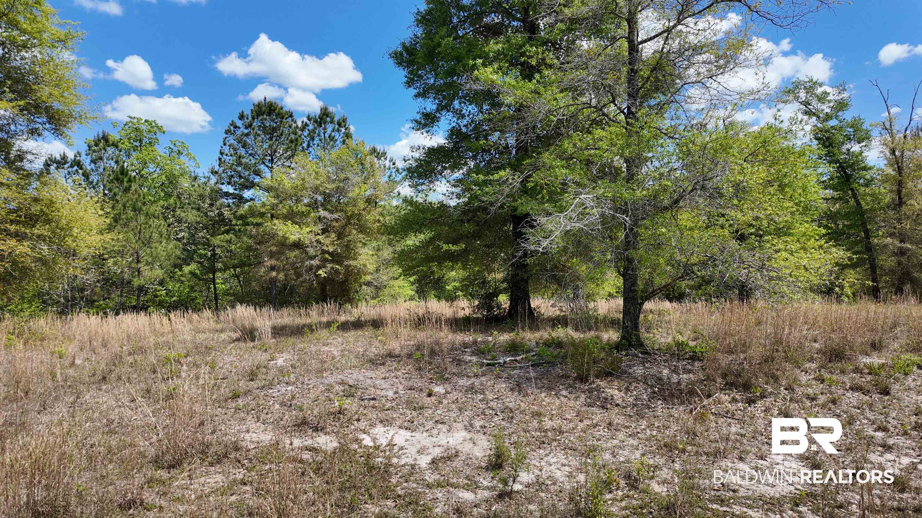 0 Powell Road Eight Mile, AL 36613 - Photo 33 of 57