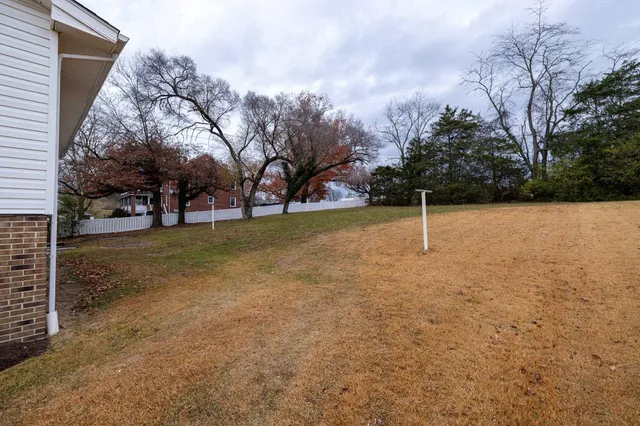 a view of a field with trees in front of it