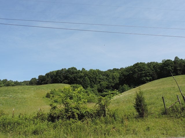 Tdb Upper Copper Creek Road Castlewood, VA 24224 - Photo 1 of 1 Gallery Image 1