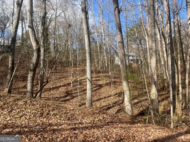 $17,000 | 0 Tomahawk Terrace, Gainesville, GA 30506