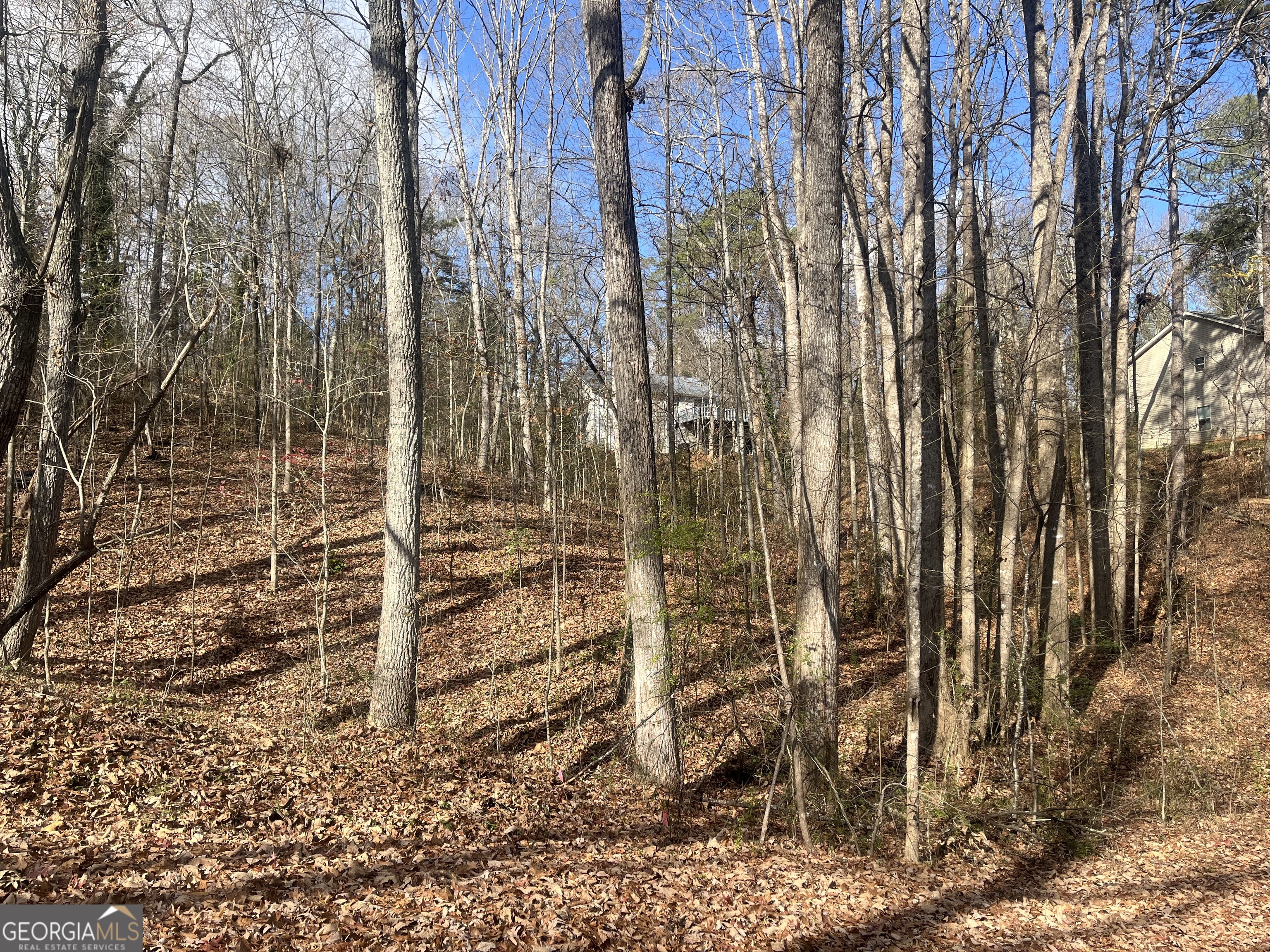 0 Tomahawk Terrace Gainesville, GA 30506 - Photo 3 of 5