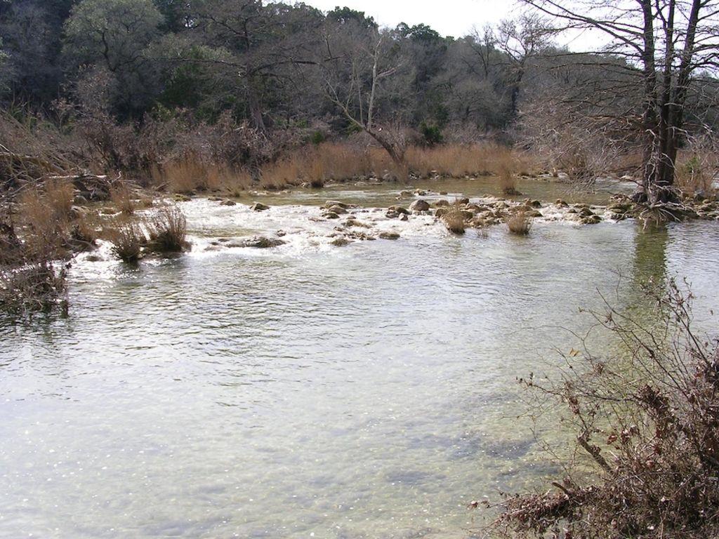 1081 Clark Cove Road Buda, TX 78610 - Photo 4 of 29 Water view with a forest