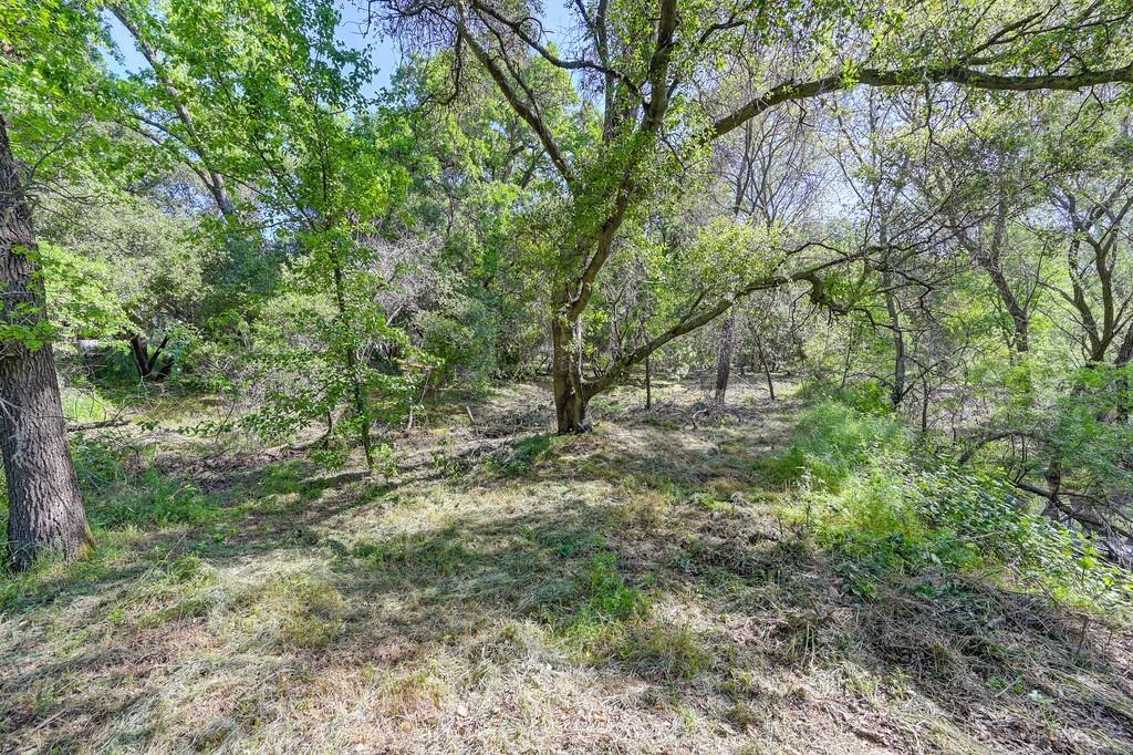 0 Tracy Lane Loomis, CA 95650 - Photo 11 of 17