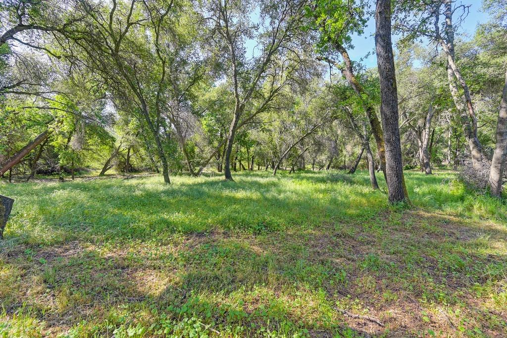 0 Tracy Lane Loomis, CA 95650 - Photo 4 of 17