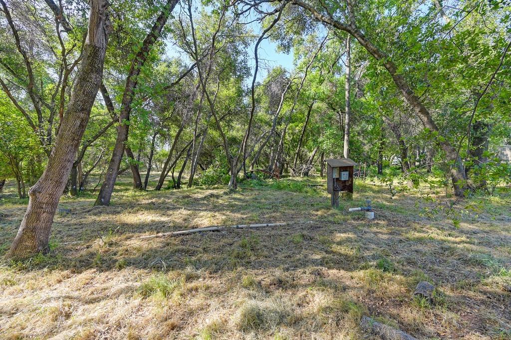 0 Tracy Lane Loomis, CA 95650 - Photo 5 of 17