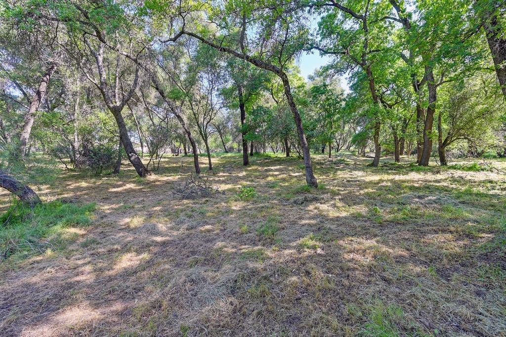 0 Tracy Lane Loomis, CA 95650 - Photo 7 of 17