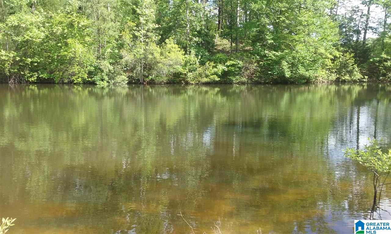 Old Jackson Road, Unit LEGAL Centreville, AL 35042 - Photo 9 of 11