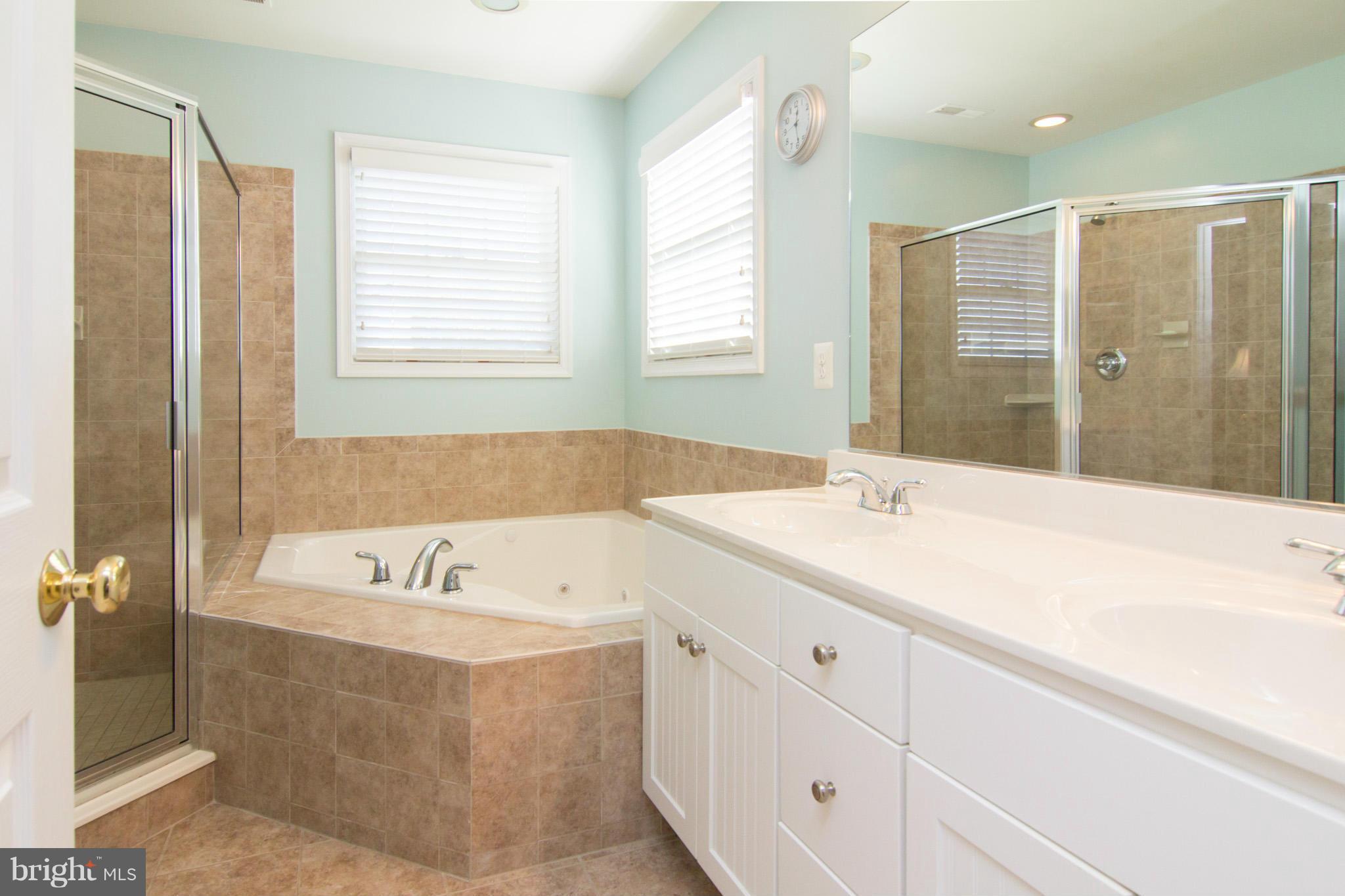 18629 Brick Store Road Hampstead, MD 21074 - Photo 14 of 30 Get ready to unwind ! JETTED TUB !