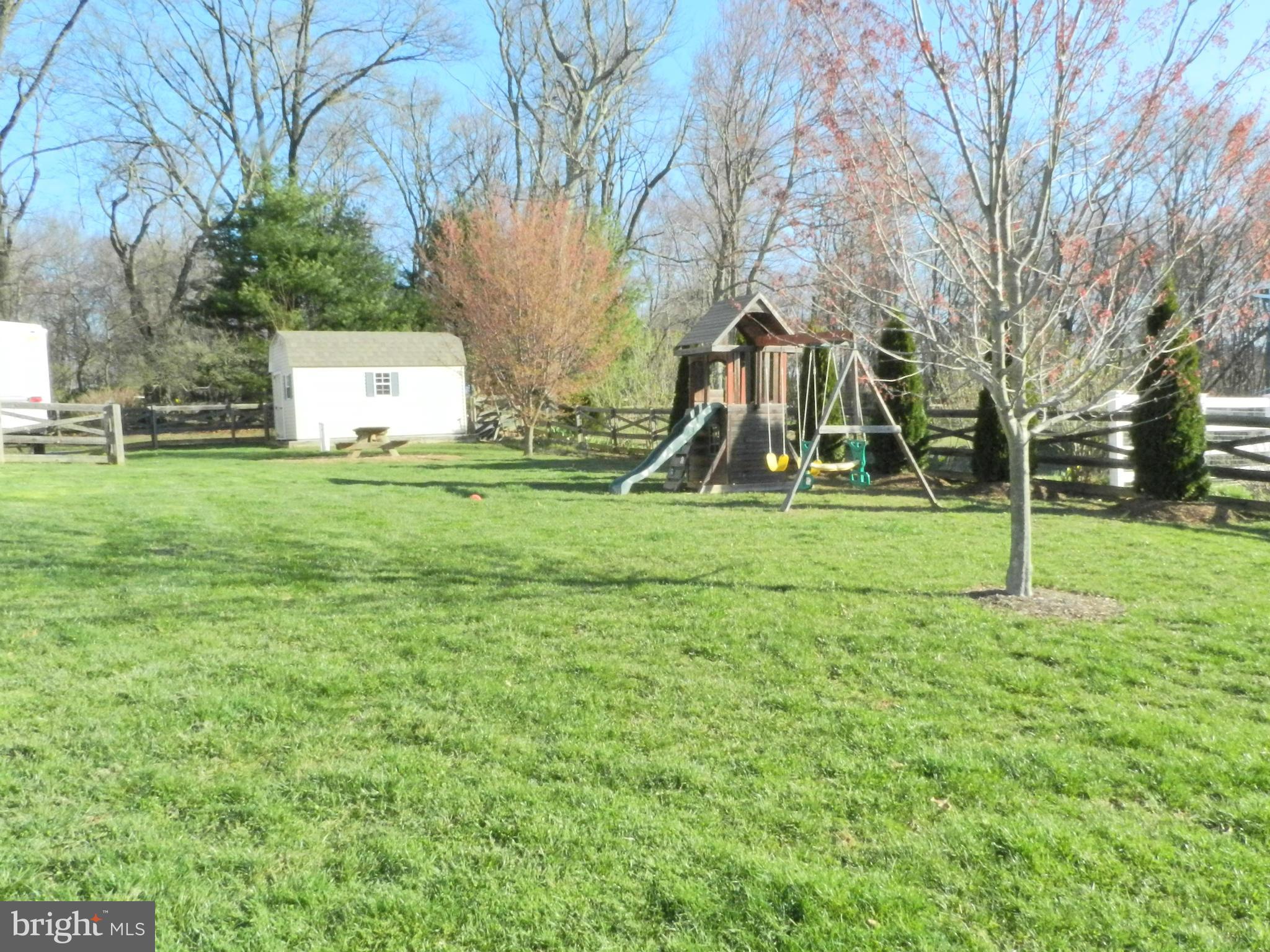 18629 Brick Store Road Hampstead, MD 21074 - Photo 29 of 30 Brand NEW Trees for added Privacy !