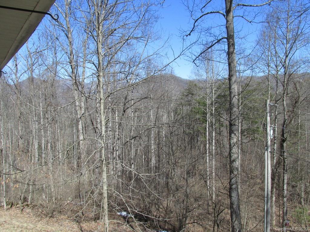 1165 Nicholson Cove Road Cullowhee, NC 28723 - Photo 22 of 26 Gallery Image 22