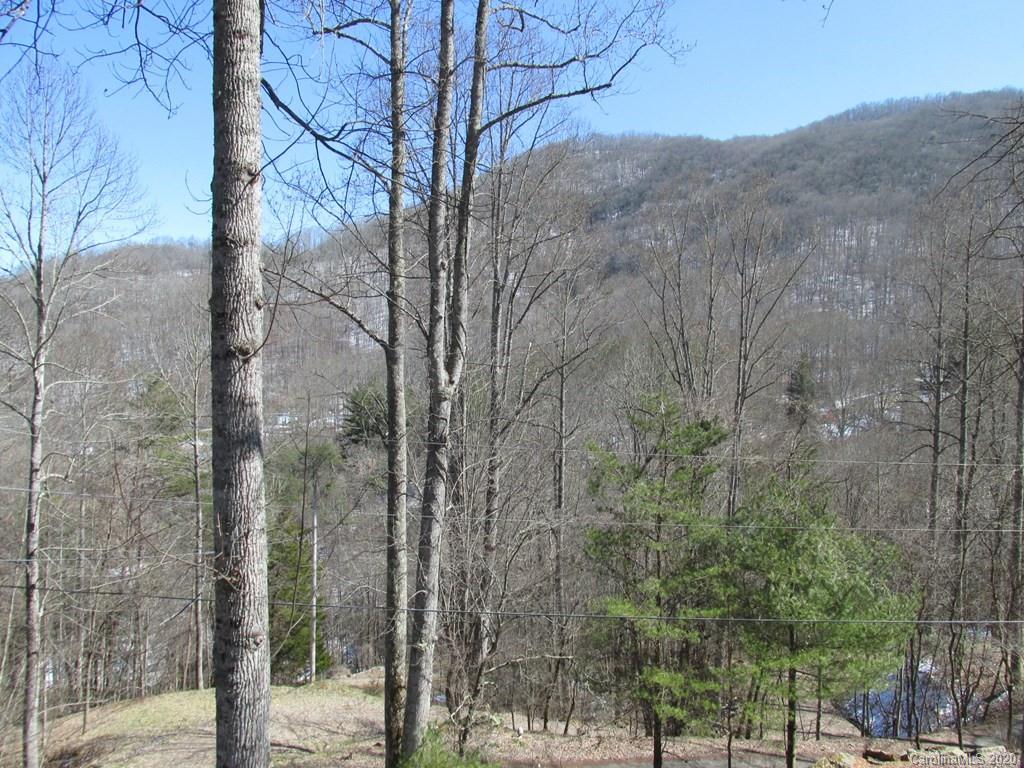 1165 Nicholson Cove Road Cullowhee, NC 28723 - Photo 23 of 26 Gallery Image 23