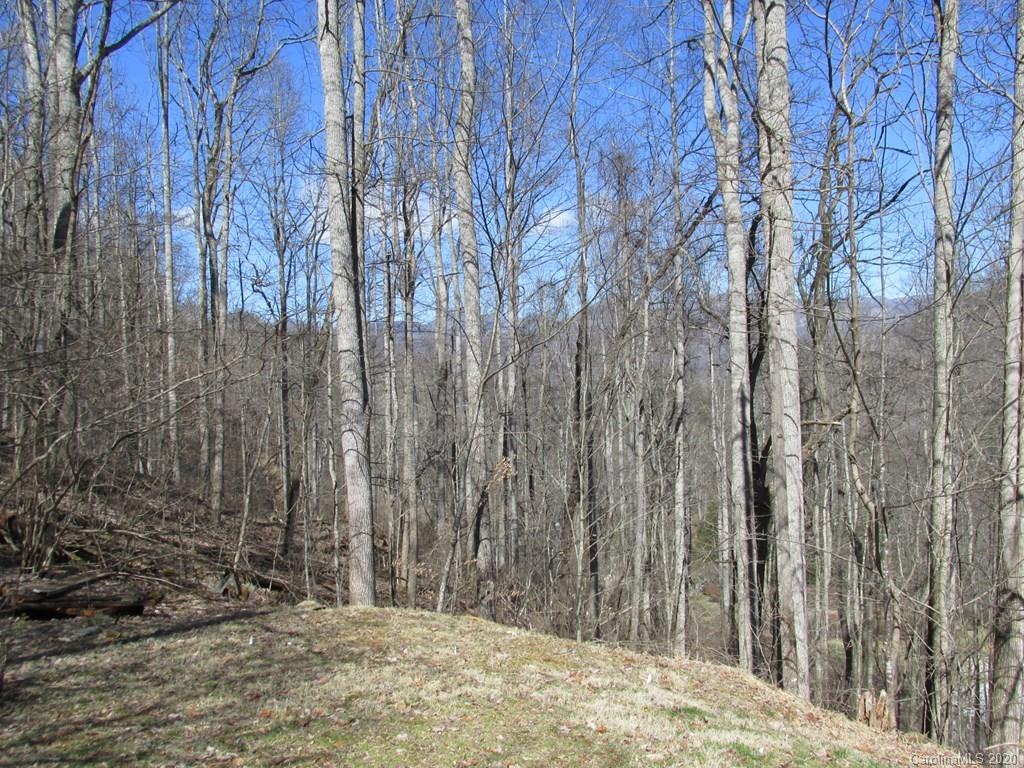 1165 Nicholson Cove Road Cullowhee, NC 28723 - Photo 24 of 26 Gallery Image 24
