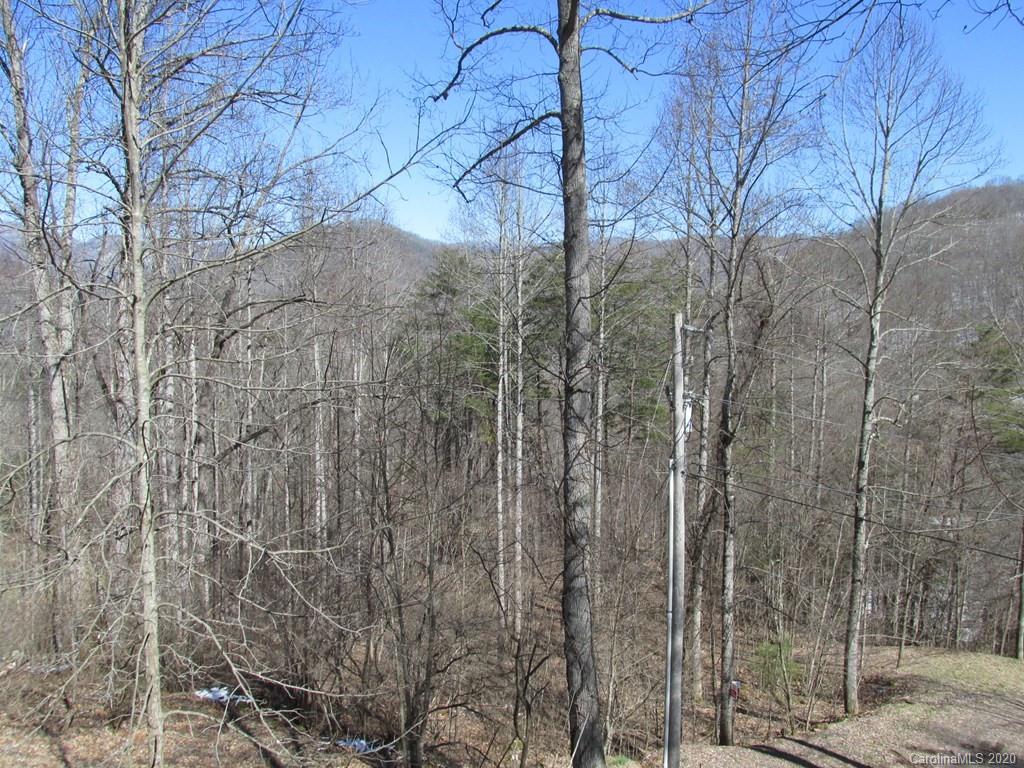 1165 Nicholson Cove Road Cullowhee, NC 28723 - Photo 26 of 26 Gallery Image 26