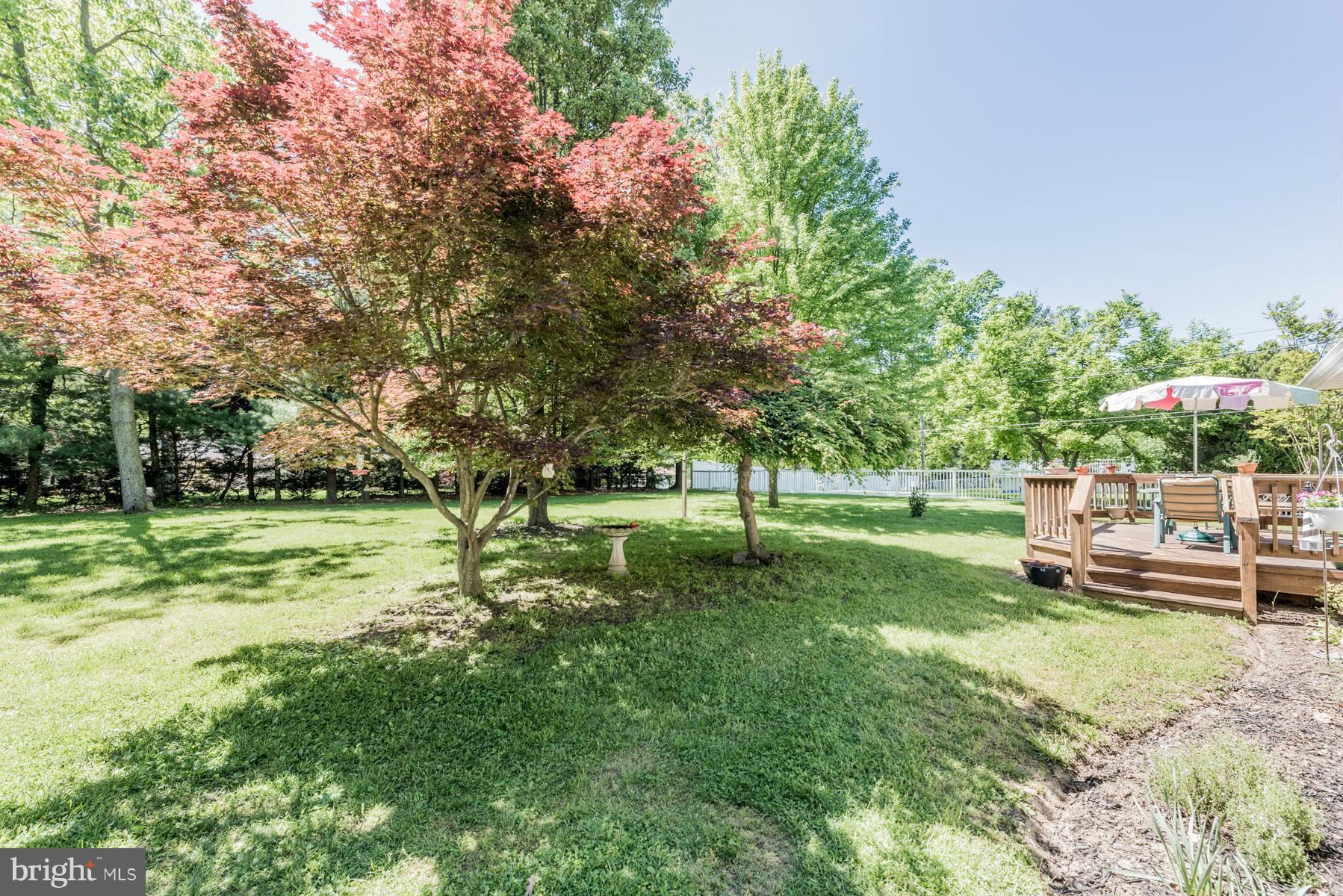 4842 Rollingtop Road Ellicott City, MD 21043 - Photo 28 of 28 Yard