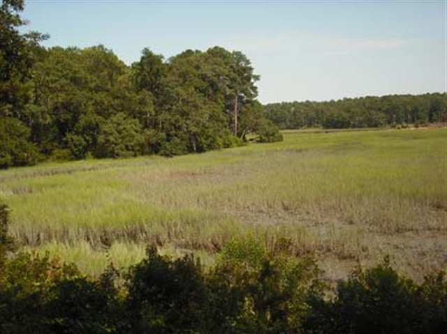 20 State Rd S-7-428, Unit E Beaufort, SC 29907 - Photo 8 of 8 Additional Photo