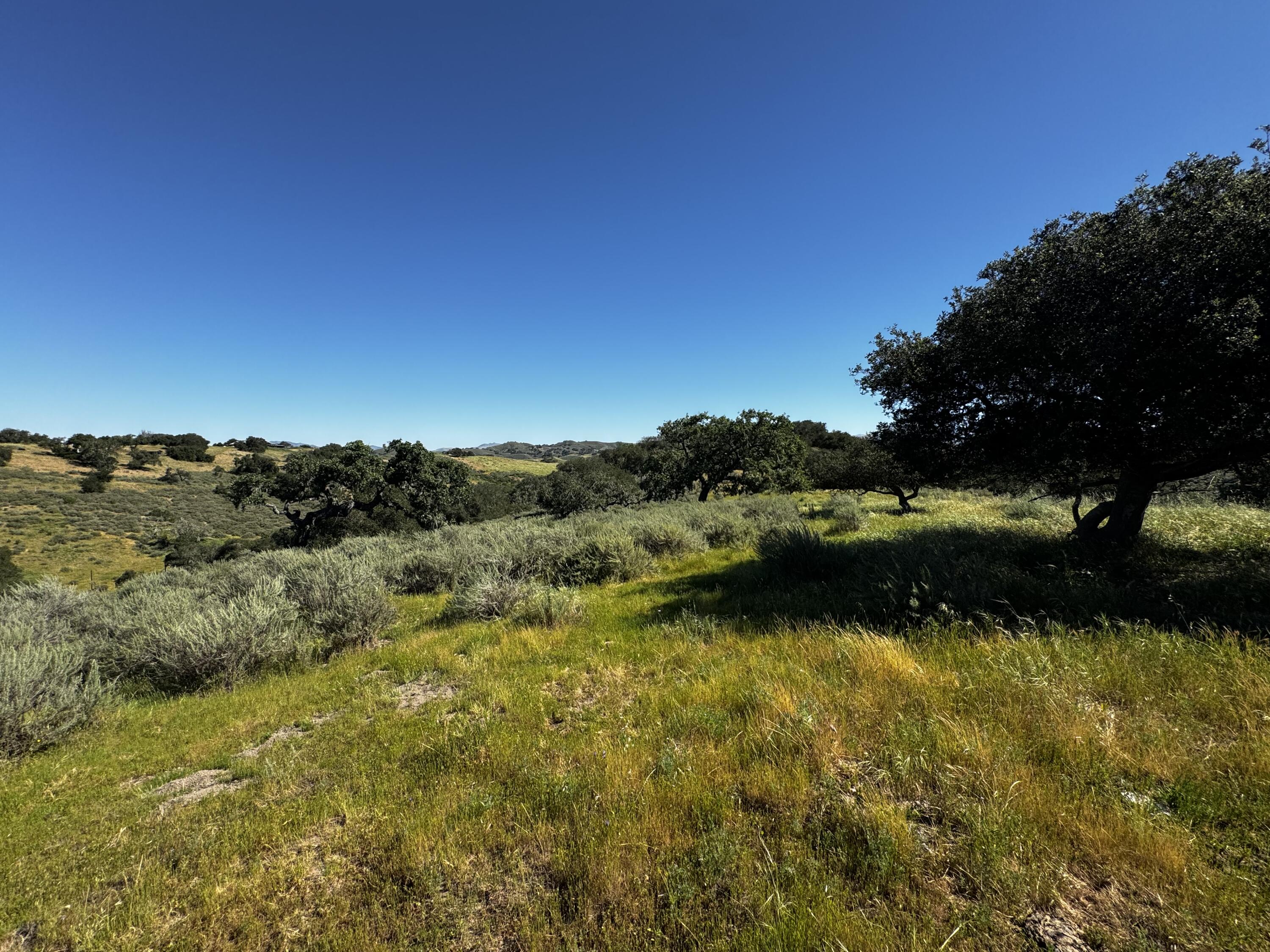 0 Alisos Canyon Road Los Alamos, CA 93440 - Photo 37 of 102 IMG_3635