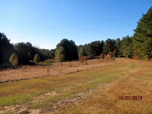 437 Comer Road Gray, GA 31032 - Photo 7 of 20 a view of ocean with large trees