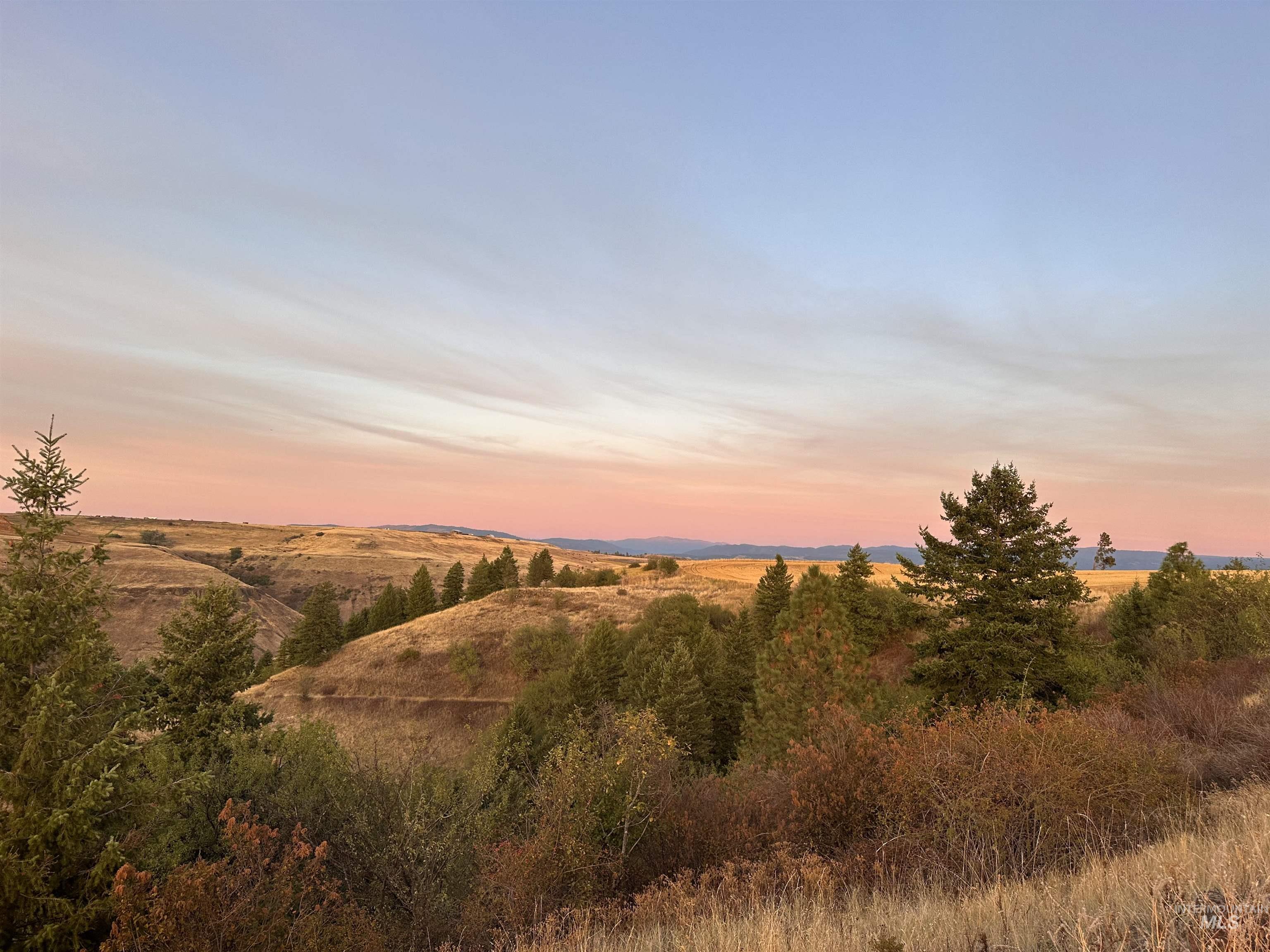 105 Scotlyn Rnch Road Kamiah, ID 83536 - Photo 3 of 27 Gallery Image 3